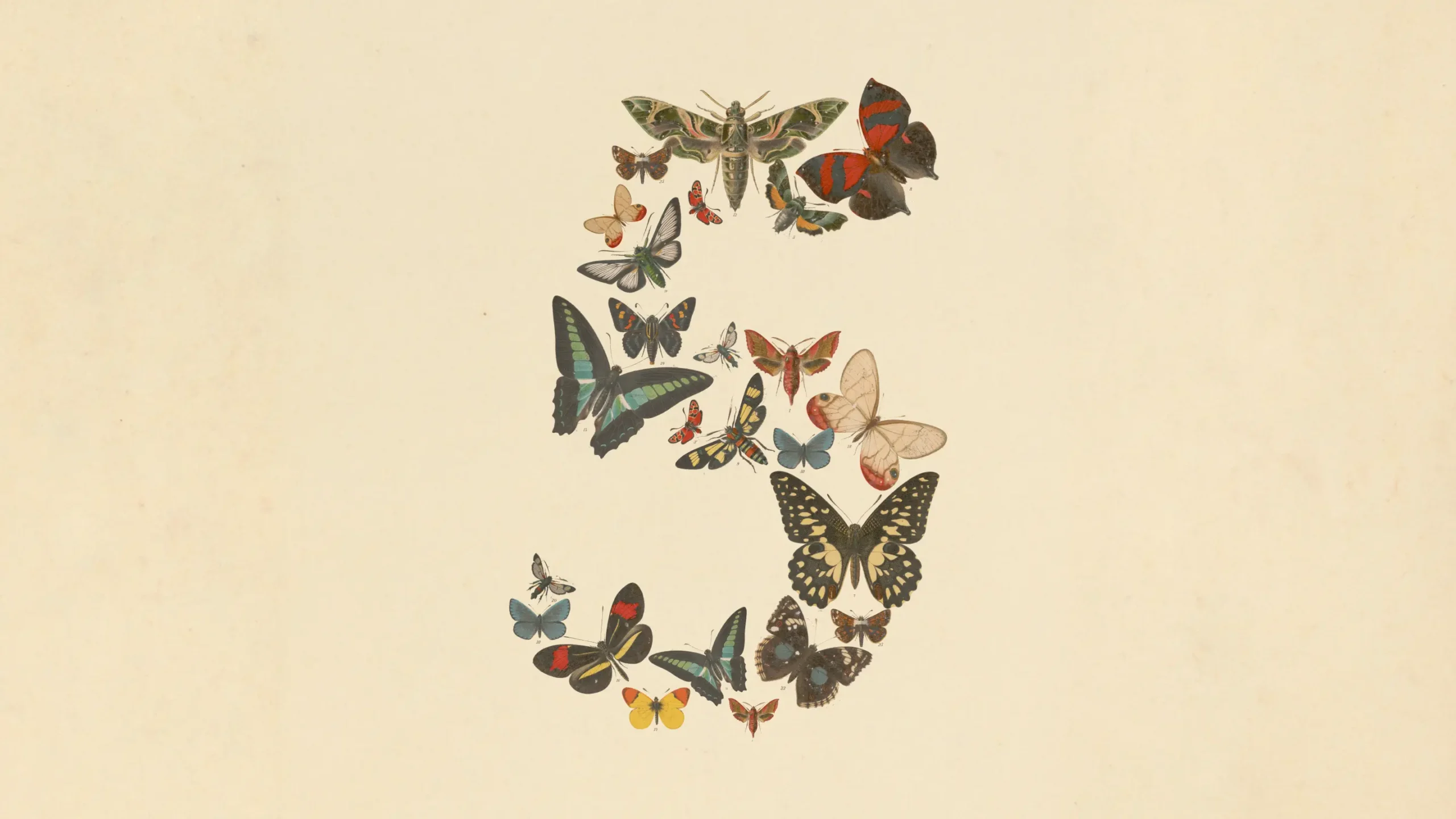 Illustrazione con farfalle e falene colorate disposte a formare il numero 5 su sfondo chiaro, usata come copertina per un articolo su Claude Fable 5 e Claude Mythos 5.