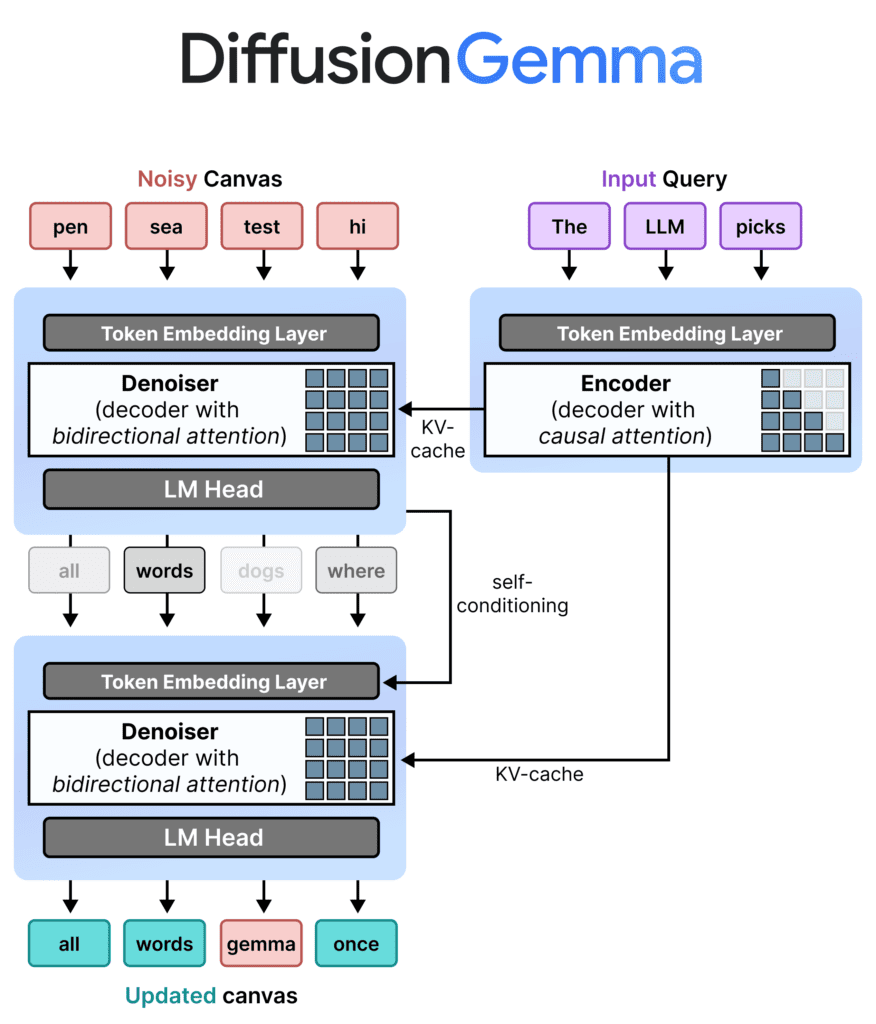 Schema dell’architettura DiffusionGemma con input query, noisy canvas, token embedding layer, encoder, denoiser con attenzione bidirezionale, KV-cache e canvas aggiornato.