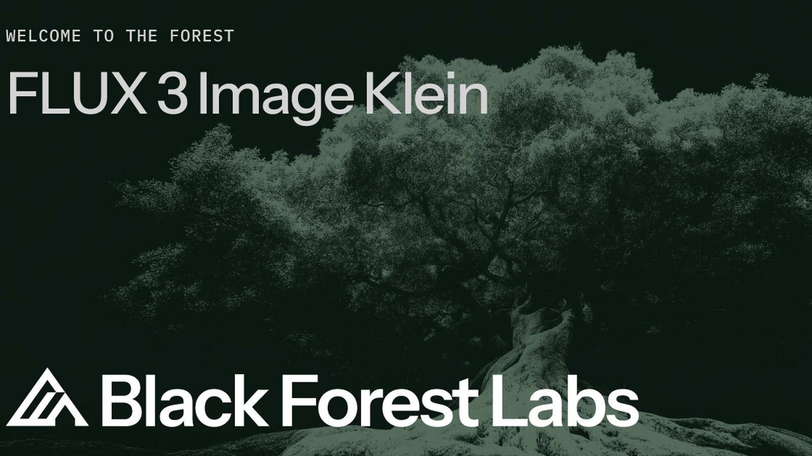 Cover ufficiale di FLUX 3 Image Klein di Black Forest Labs